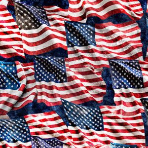 QT Fabrics - Stars Stripes & Steel Flags Navy