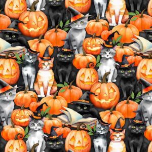 Wilmington - Spooky Tails Cats Multi