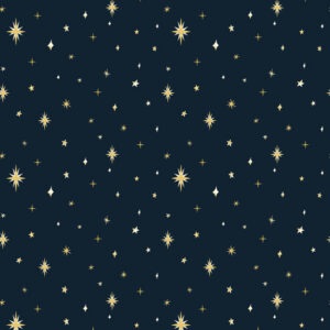 Blank - Silent Night Navy