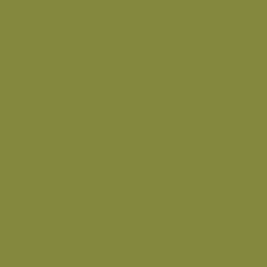 Andover - Century Solids Jalapeno