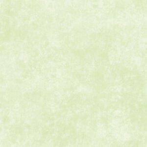 Maywood Studios - Shadow Play Flannel Julep Mint