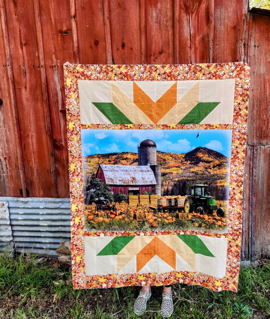 Kit Pumpkins October Sky Quilt The Quilt Basket