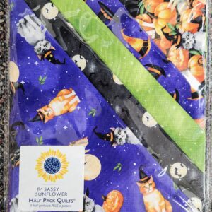 Sassy Sunflower Half Pack Quilt Kit- "Spooky Tails"
