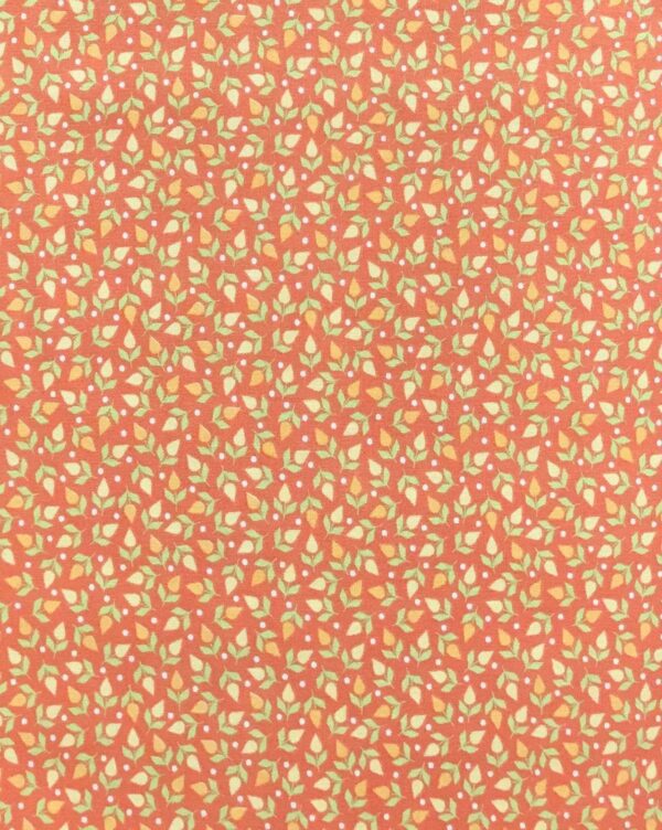 Sunnyside Up Coralx2