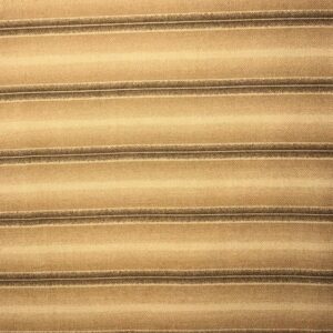 Collections Preservation - Brown