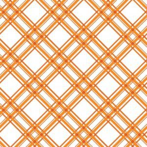Kimberbell Basics - Diagonal Plaid - Orange