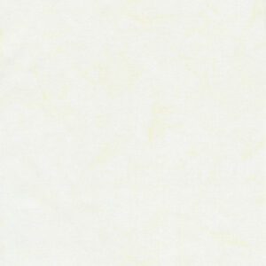 Timeless Treasures - BT - Tonga Java Blender - Parchment