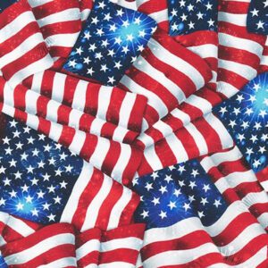 Robert Kaufman - Wideback - American Patriots