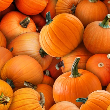 Harvest Time Pumpkins