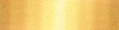 Moda - Ombre Confetti - Honey