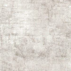 Robert Kaufmann- Chalk & Charcoal- Shitake